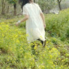 小小