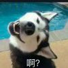 得