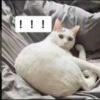 qwebnm