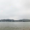 单芯爱