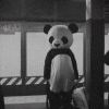 嗨
