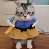 丶