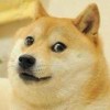 尼